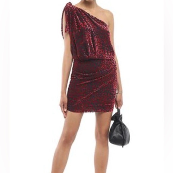 IRO Moon Velvet Animal Print Burgundy Burnout One Shoulder Mini Dress NWT Size 4 - Picture 1 of 10